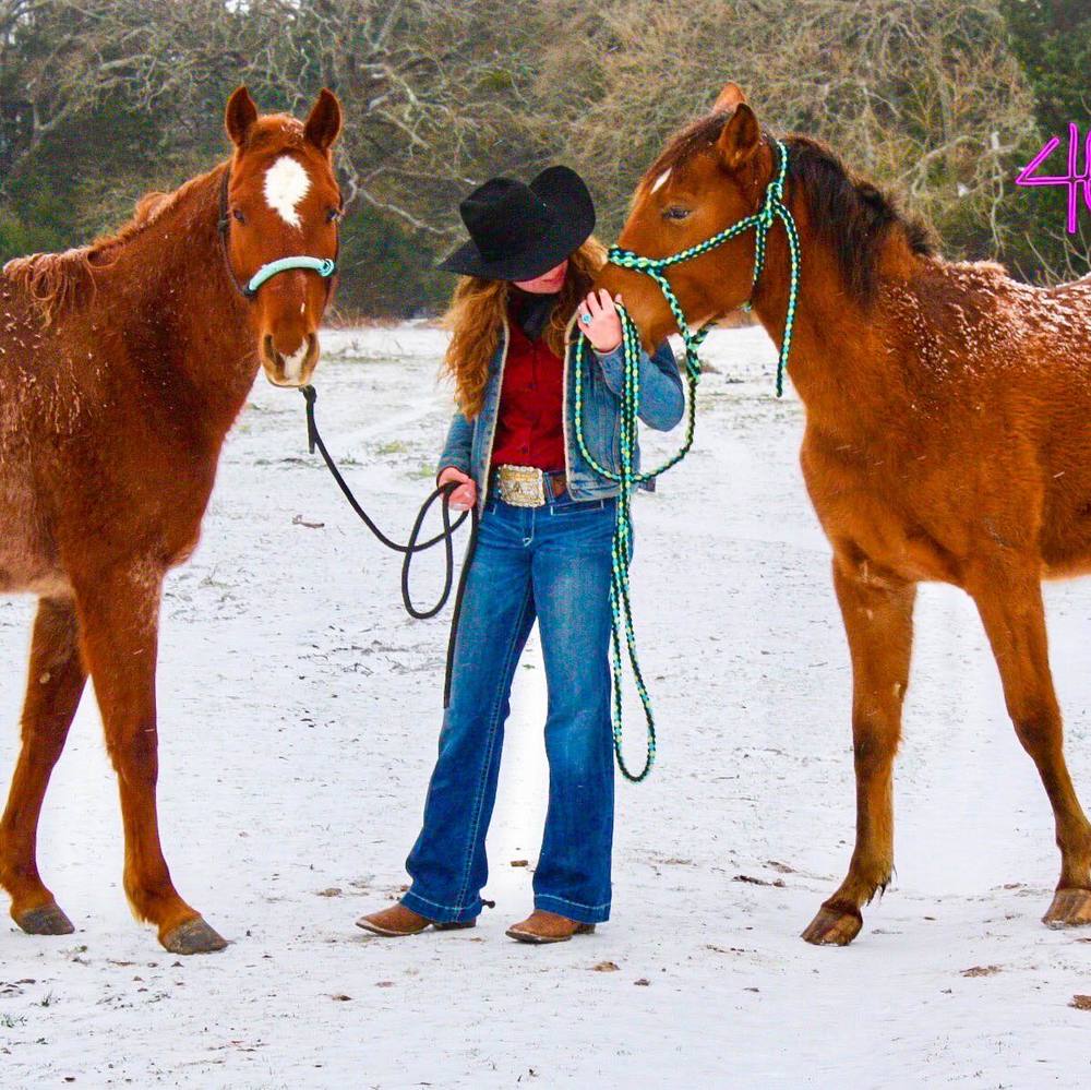 Meet your Posher, Clara